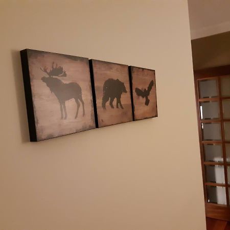My Home In Oporto Maía エクステリア 写真